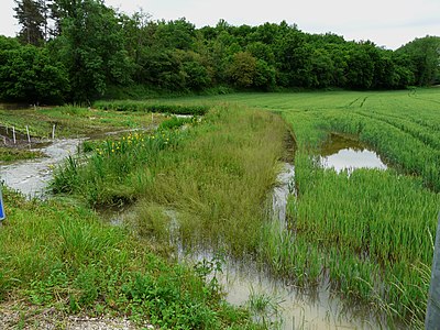 Die Donzelle unterhalb vom Moulin de Pontey