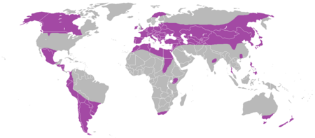 Echinococcus granulosus distribution map.png