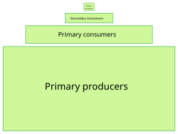 diagram trophic level of Wikipedia  level Trophic