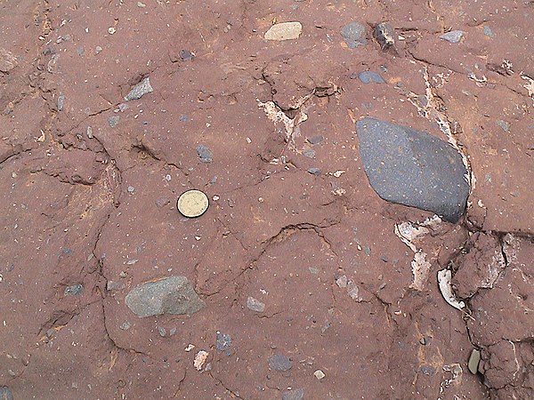 Elatina Fm diamictite below Ediacaran GSSP site in the Flinders Ranges NP, South Australia. A$1 coin for scale.