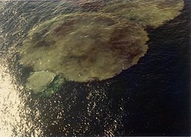 Eruption of Minami-Hiyoshi Seamount 19770110.jpg
