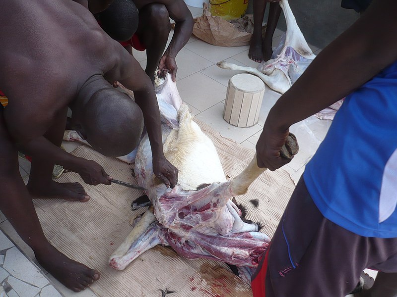 File:Fête de la tabaski, dépeçage du mouton.JPG