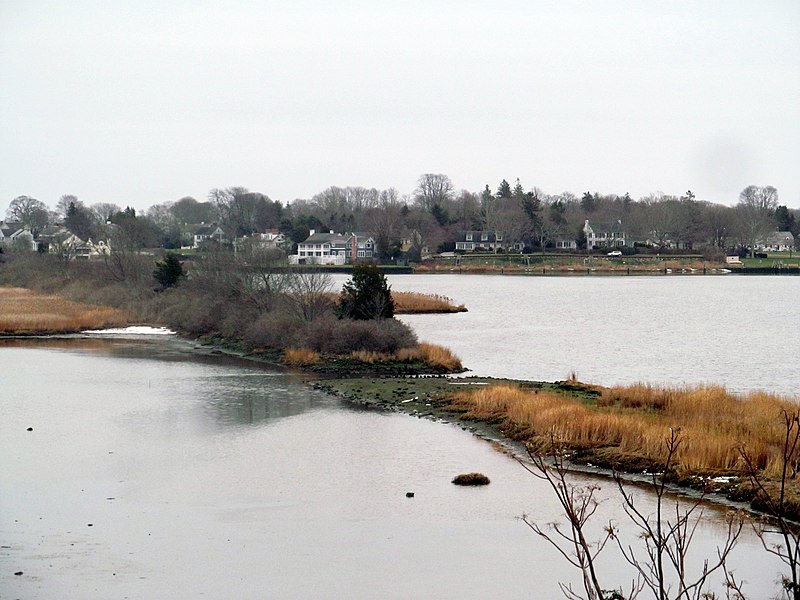 File:Fenwick Branch ROW from Founders Memorial Park, December 2016.JPG