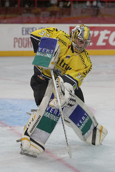 File:Finale de la coupe de France de Hockey sur glace 2014 - 050.jpg