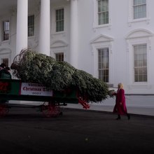 File:First Lady Jill Biden Menyambut Pejabat gedung Putih Pohon Natal.webm