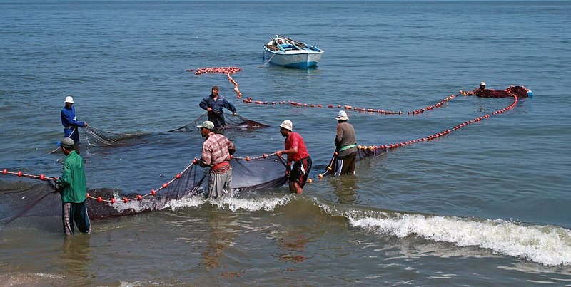 File:Fishermen in Egypt.jpg