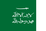 Flag of the Sultanate of Nejd.svg