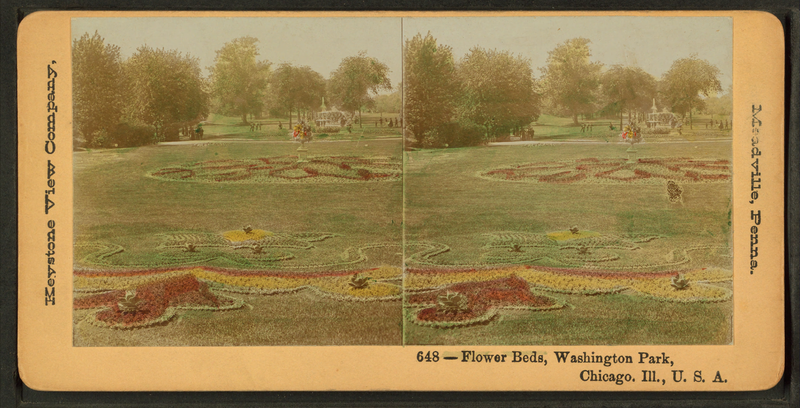 File:Flower beds, Washington Park, Chicago, Ill., U.S.A, by Keystone View Company.png