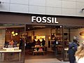 Vorschaubild für Fossil Group