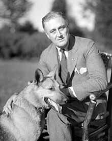 Franklin D. Roosevelt with his German Shepherd Major.jpg