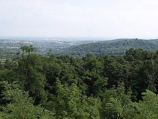 Uitzicht vanaf de Fruška Gora naar het zuiden