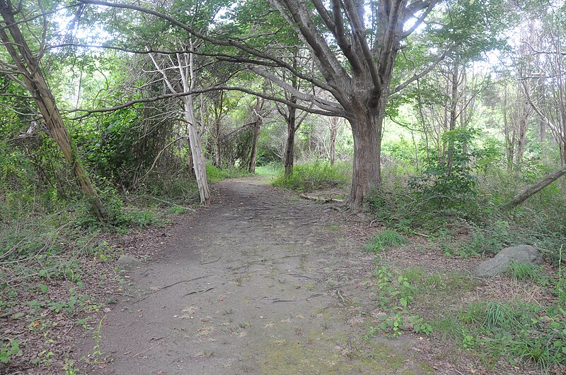 File:GARDINER POND SHELL MIDDEN, MIDDLETOWN, NEWPORT COUNTY RI.jpg