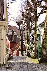 Idyll from the Old Bergen Museum, Bergen, Norway