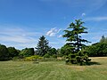 Ornamental garden at Hall Place. [536]