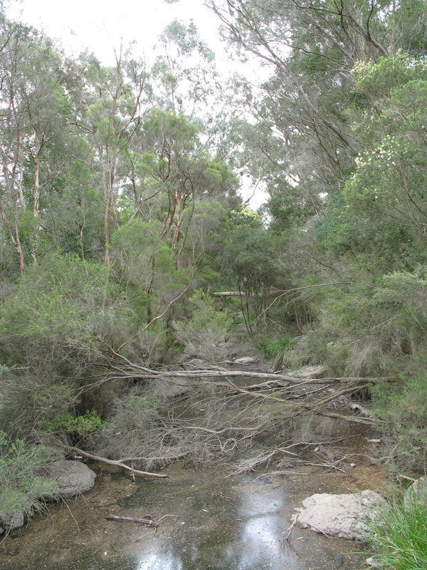 Gardiners Creek