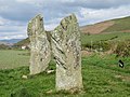 Giant's Grave Standing Stones - geograph.org.uk - 2930122.jpg