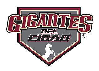 <span class="mw-page-title-main">Gigantes del Cibao</span> Baseball team in the Dominican Republic