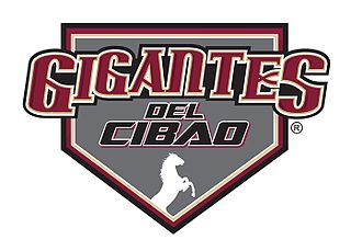 Gigantes del Cibao Baseball team in the Dominican Republic