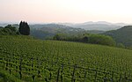 Vorschaubild für Weinbau in Slowenien