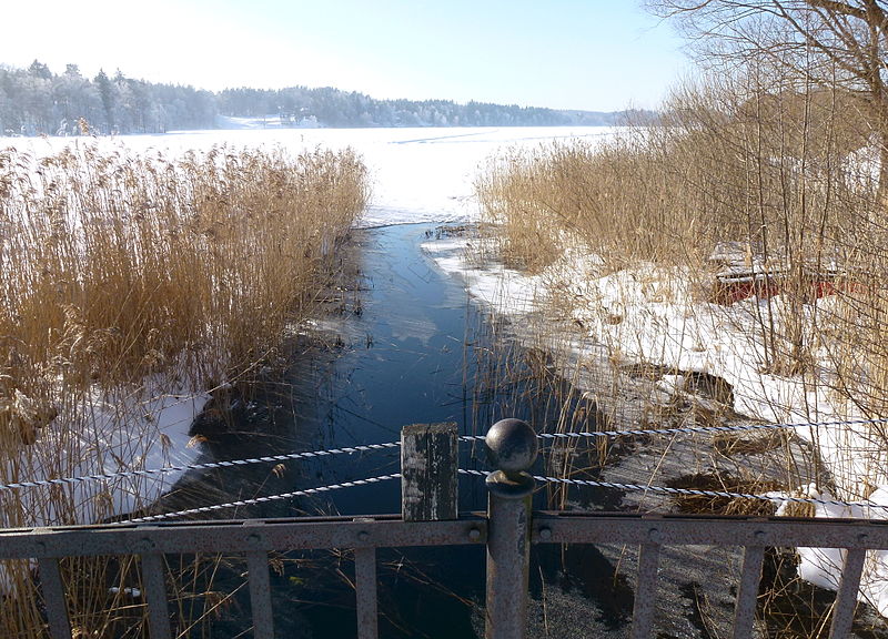 File:Hågelby Älvestaån Aspen 2013.jpg