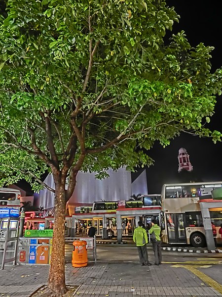 File:HK TST night Salisbury Road Star Ferry Piers Bus Terminus 尖沙咀碼頭巴士總站 tree Mar-2013.JPG