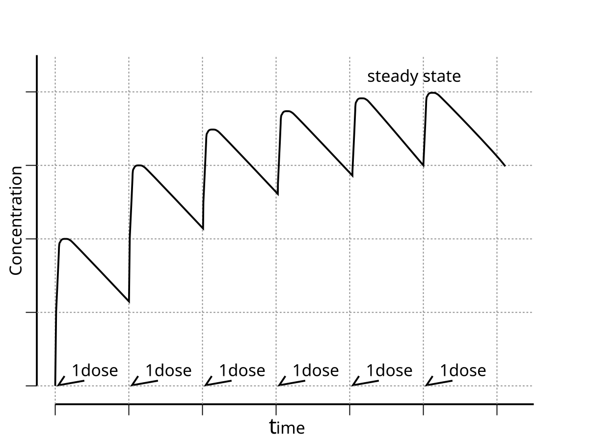 Download File:Half life steady state.svg - Wikimedia Commons