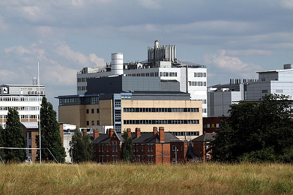 Hammersmith Hospital from Wormwood Scrubs Park