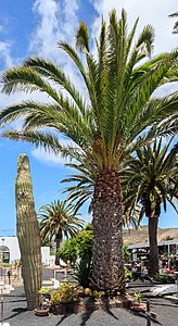 Grave César Manrique Haría Lanzarote