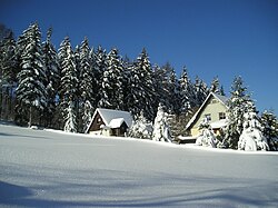 Hirschsprung Winter 01.JPG