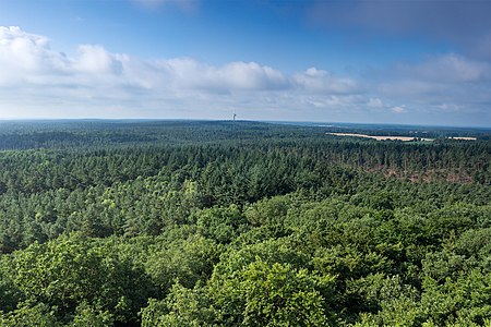 De heuvel Hoher Mechtin in de Drawehn