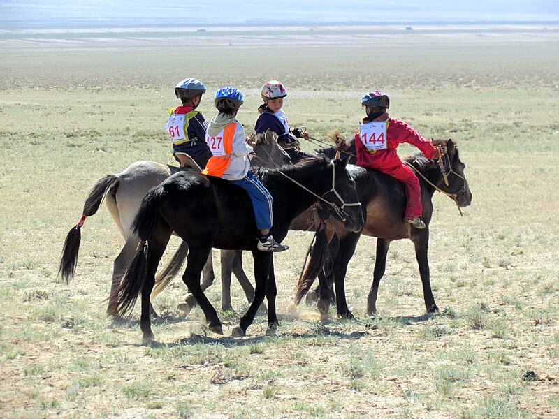 File:Horce Race in Gobi Desert - Dornogovi Province - Mongolia (6248973572).jpg