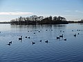 Thumbnail for Hornsea Mere