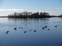 Image d'un lac avec une île au milieu