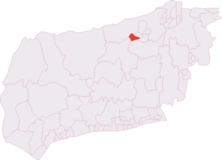 <span class="mw-page-title-main">Horsham Tanbridge & Broadbridge Heath (electoral division)</span>