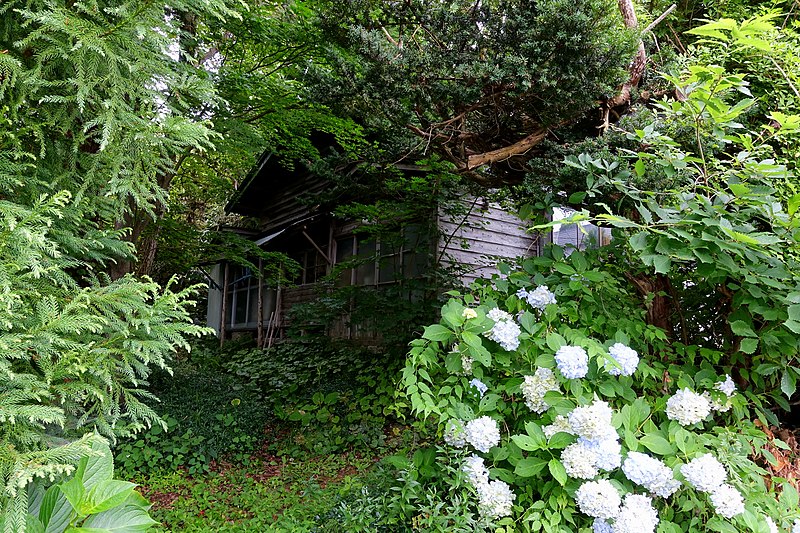 File:House in the wilds - Mutsu, Aomori - DSC00162.jpg