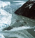 氷河湖決壊洪水のサムネイル