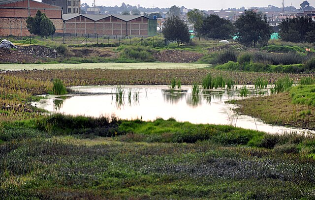 El Burro, similar wetland to Lake Herrera