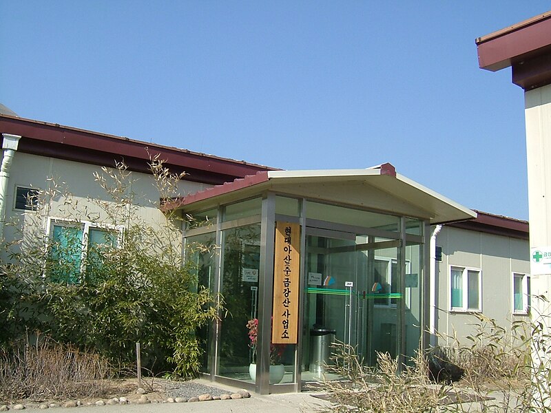 File:Hyundai Asan Kumgangsan branch 20060219.jpg