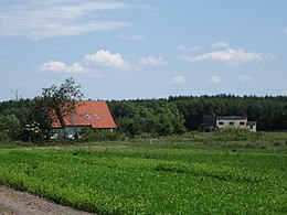 Obrázek v Infoboxu.