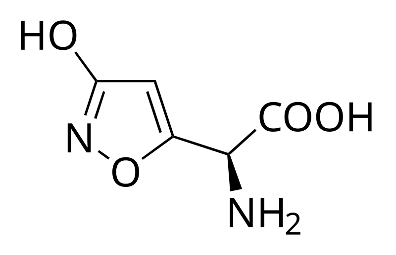 File:Ibotenic acid.svg