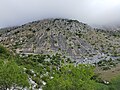 Vignette pour Réserve naturelle Monte Genzana et Alto Gizio