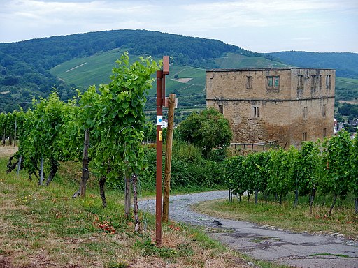 Im Oktober 2010 eingeweihter 226 km langer Remstal-Höhenweg, Das Stettener Brotwasser ist eine der besten Riesling-Lagen des Landes. Seine Sandstein-Terrassen liegen romantisch direkt unterhalb der Ruine - panoramio