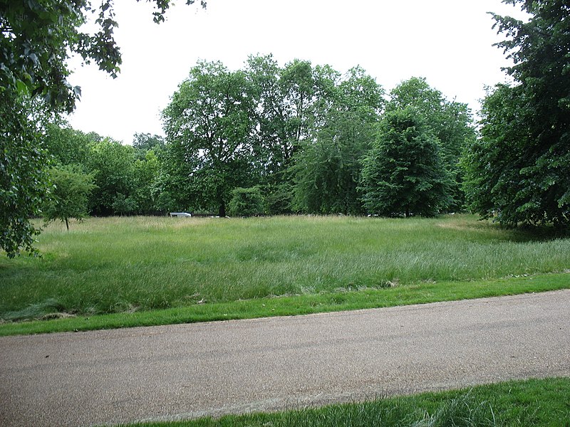 File:In Green Park, London - geograph.org.uk - 3542827.jpg