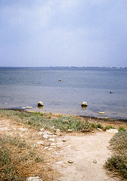 Beginning of the Motya mole connecting the city to the mainland. Inizio strada sottomarina di Mozia.jpg