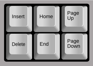 The Page Up and Page Down keys among other keys Insertpad.svg