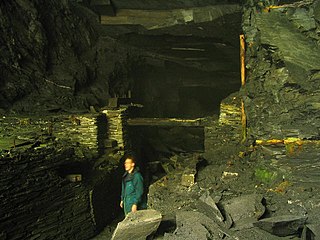 <span class="mw-page-title-main">Cambrian quarry</span> Site of Special Scientific Interest in Wales