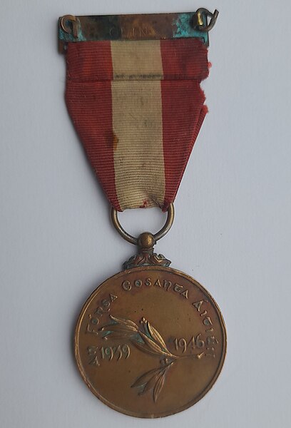 File:Irish Emergency Service Medal Back.jpg