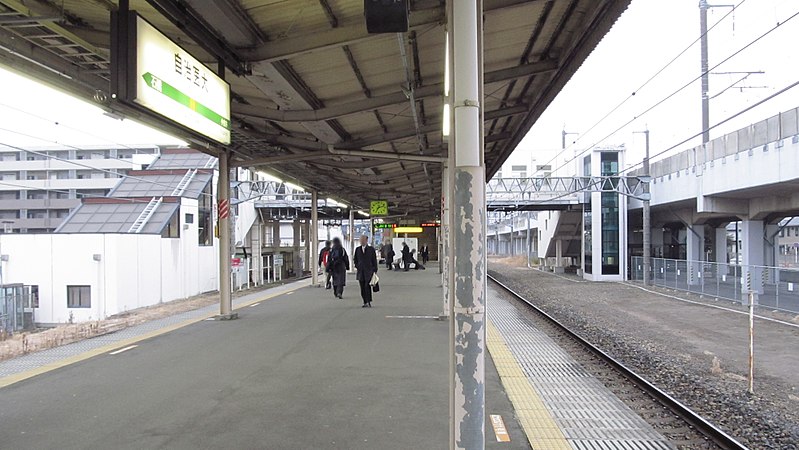 File:JREast-Tohoku-main-line-Jichi-idai-station-platform-20140320-071534.jpg