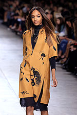 Miniatura para Jourdan Dunn