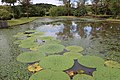 2017年9月11日 (月) 08:19時点における版のサムネイル